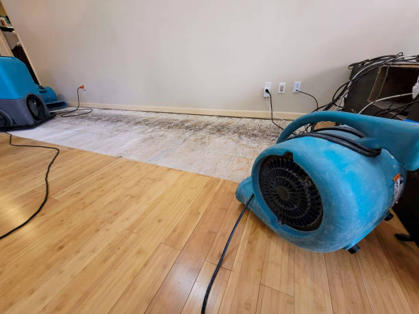 Professional Water Damage Repair technician working in Rancho Palos Verdes, CA